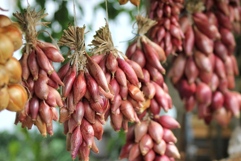 Online Gardening Community